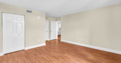 Executive Suite –  Aston 507