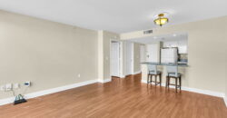 Executive Suite –  Aston 507