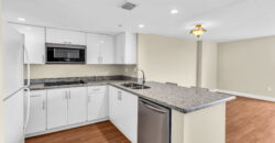 Executive Suite –  Aston 507