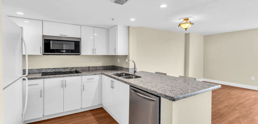 Executive Suite –  Aston 507